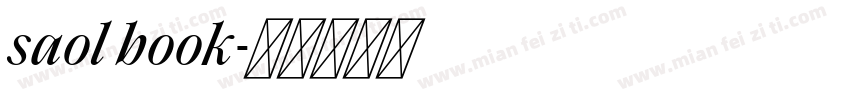 saol book字体转换